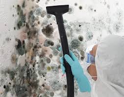 Best Mold Documentation for Insurance Claims  in Southmayd, TX